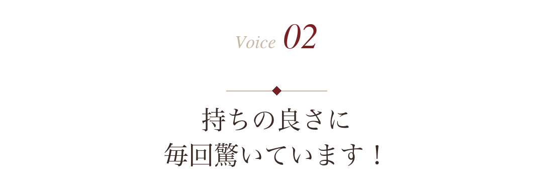 Voice 2